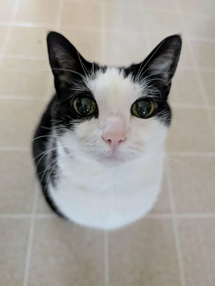 My 14 Year Old Baby Girl