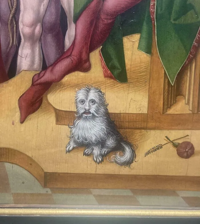 This Dog Or Cat ?