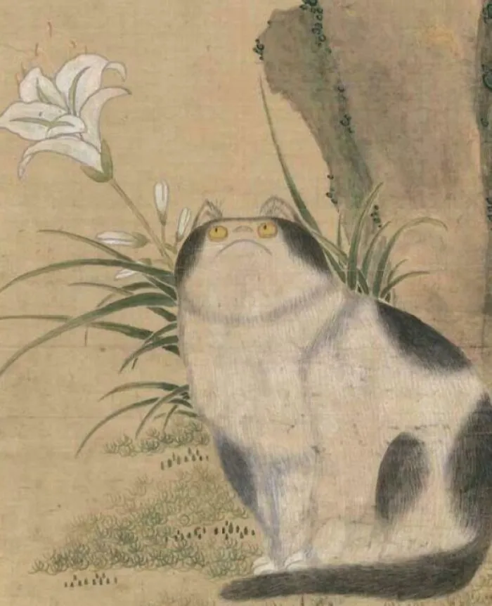 (Internal Dialogue) I'm Not Fat I'm Just Big Boned