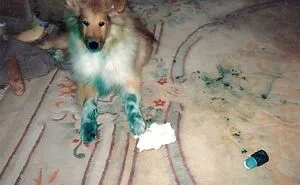 75 Expensive Mistakes People Made That Might Make You Say “Ouch” Just Looking At Them (New Pics)