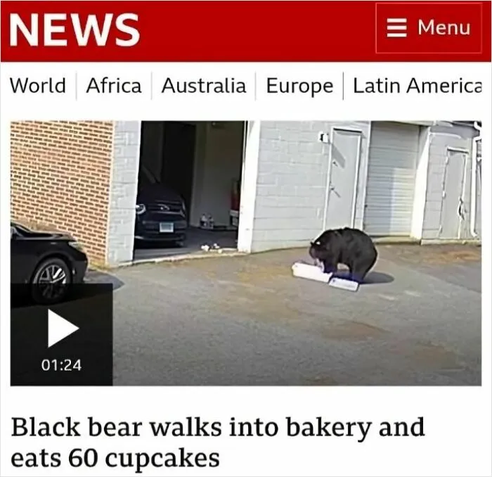 60 Cupcakes?
