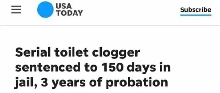 Screenshot of USA TODAY headline about a serial toilet clogger sentenced to jail and probation, illustrating wild incidents.