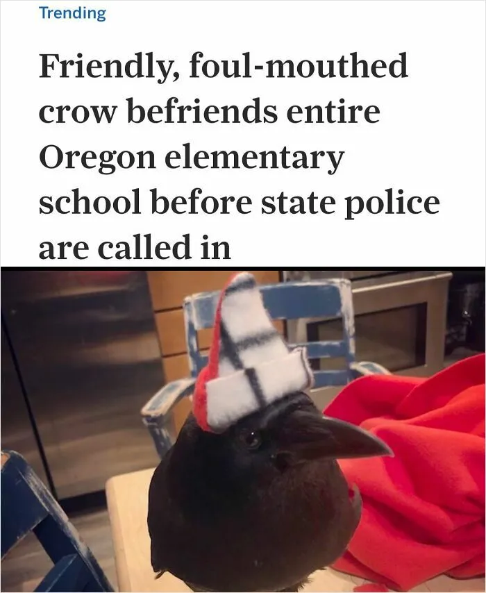 At No Point Did I Guess Where The Headline Was Going Next