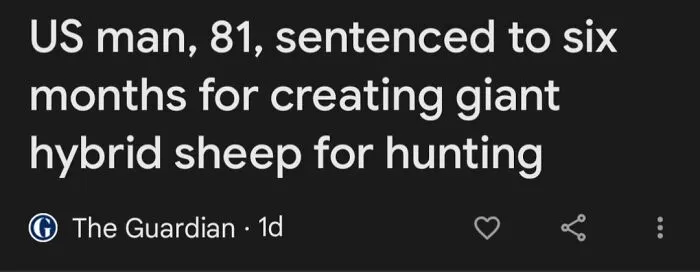 Headline about an 81-year-old US man sentenced for creating a giant hybrid sheep in a wild incident.