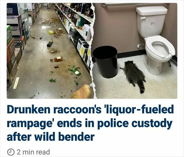 Possibly The Funniest Headline To Ever Grace A News Site
