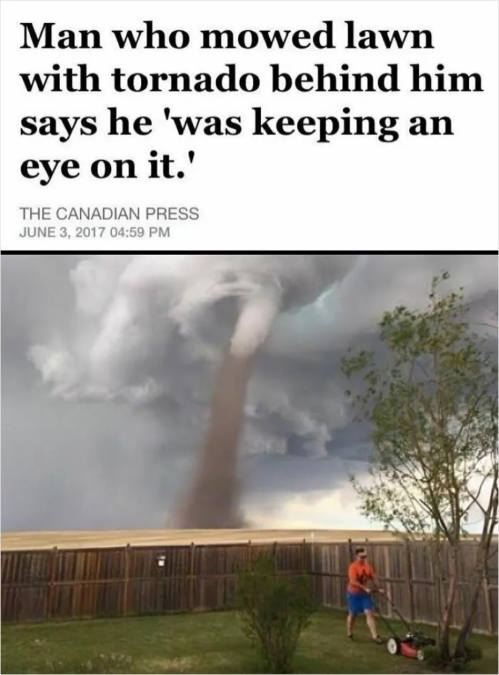 This Might Be My New Favorite Headline And Photo Combo Ever