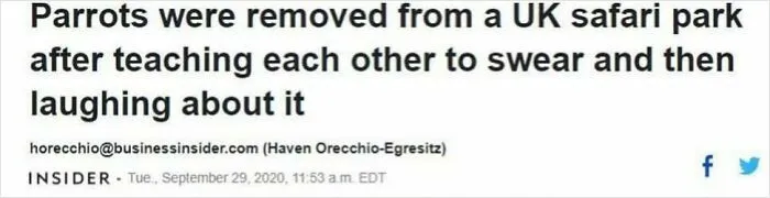 What A Headline