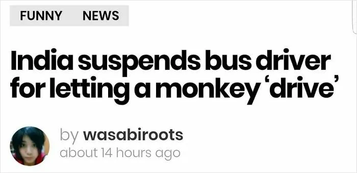 News headline about a wild incident where a bus driver in India was suspended for letting a monkey drive.