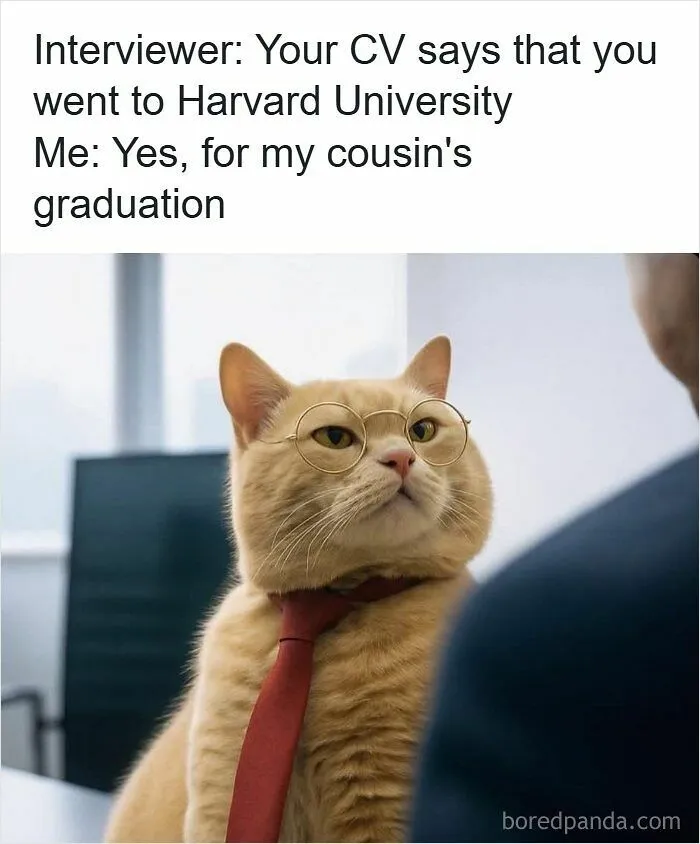 53 Hilarious Resume Memes That Might Be Painfully Relatable