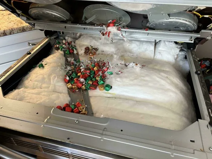 El horno dejó de funcionar… ¡Y me encontré con una sorpresa dentro!