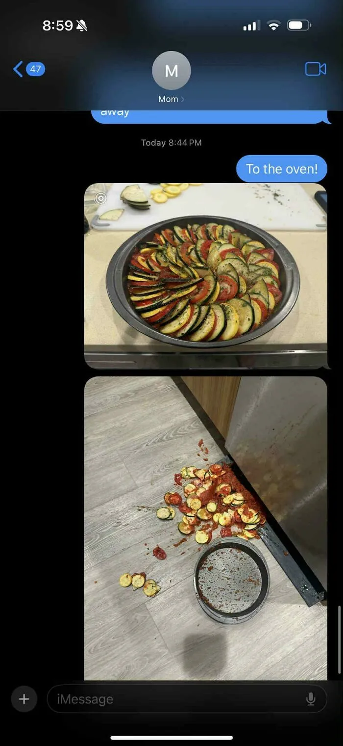 Intenté hacer ratatouille con la primera cosecha de mi huerto.