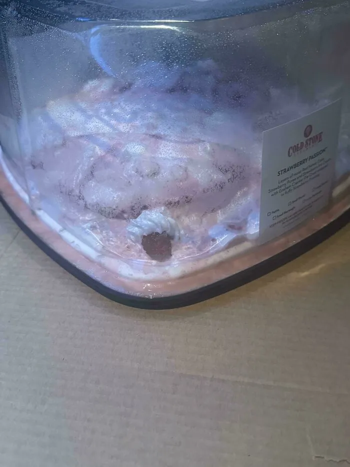 El vicepresidente de la empresa me envió un pastel helado en mi día libre… Mis compañeros de trabajo lo pusieron en el frigorífico, no en el congelador