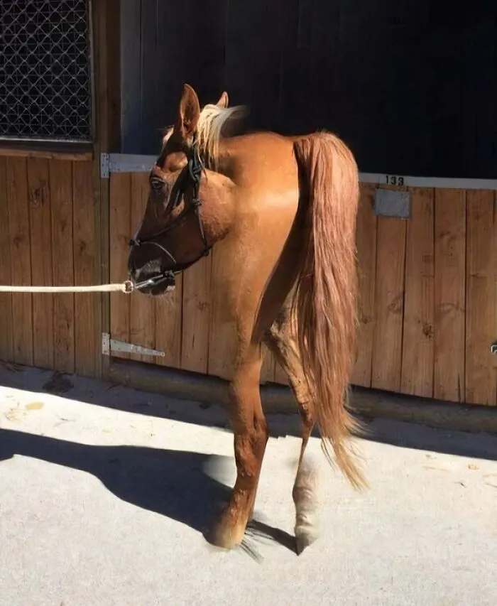 Panoramic Photo Gone Right