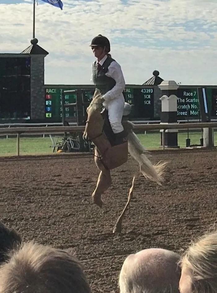 My Panorama Created The Horse Equivalent Of A Unicycle