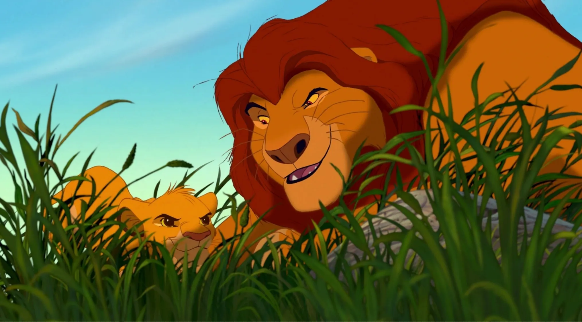 Simba and his father Mufasa from The Lion King hiding in tall grass on a clear sunny day.