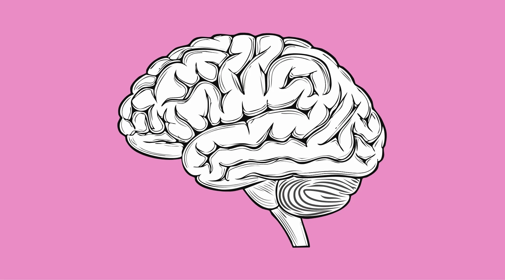 Illustration of a human brain on a pink background representing brain energy usage facts for trivia night questions.