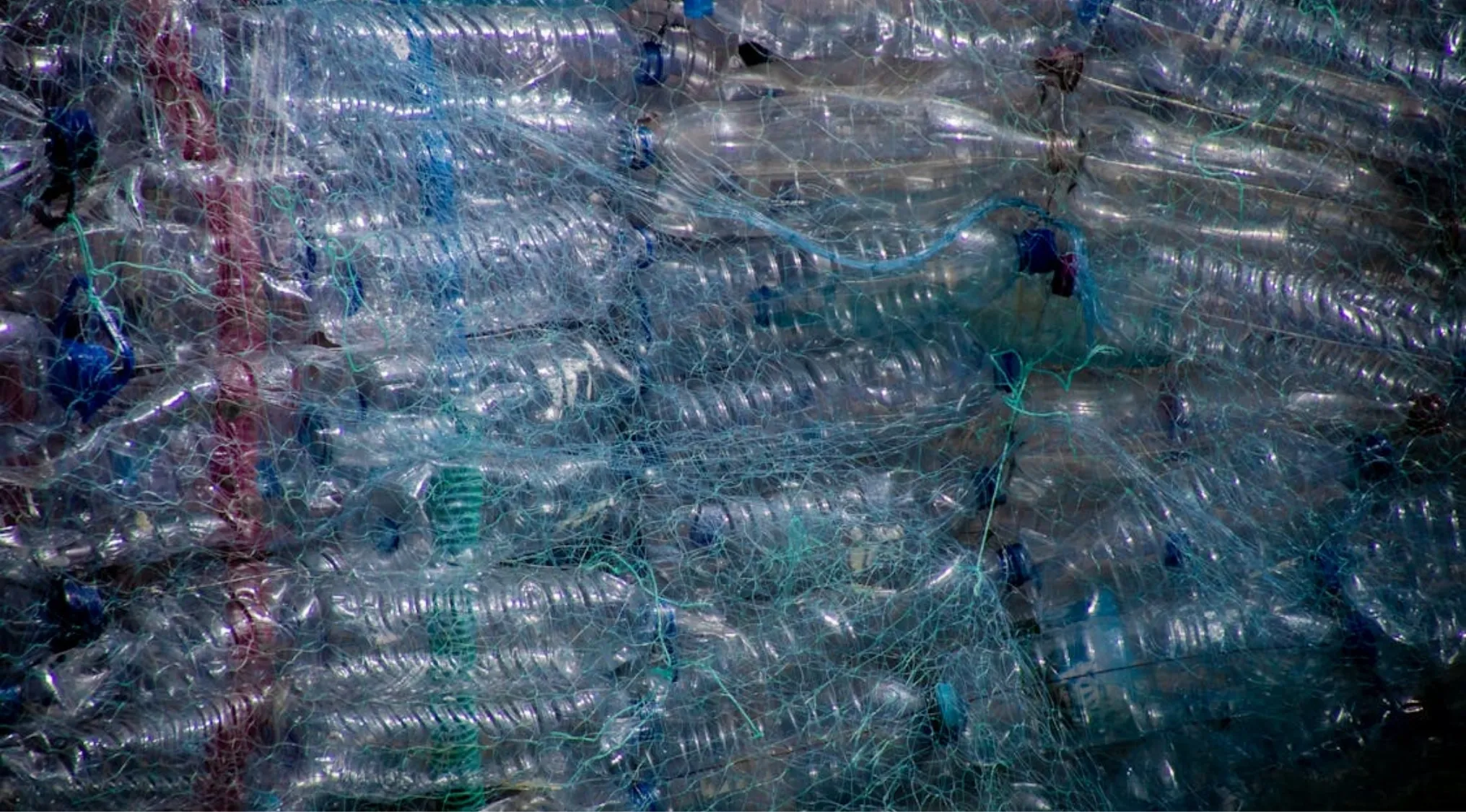 Plastic bottles tightly packed in nets, highlighting the concept of plastic recycling limits and processes.