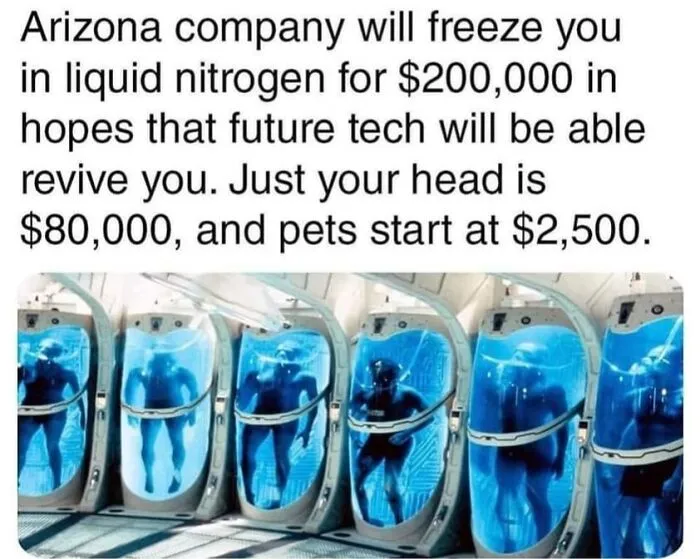 Arizona company offers cryogenic freezing using liquid nitrogen, reflecting dystopia and future tech revival hopes.