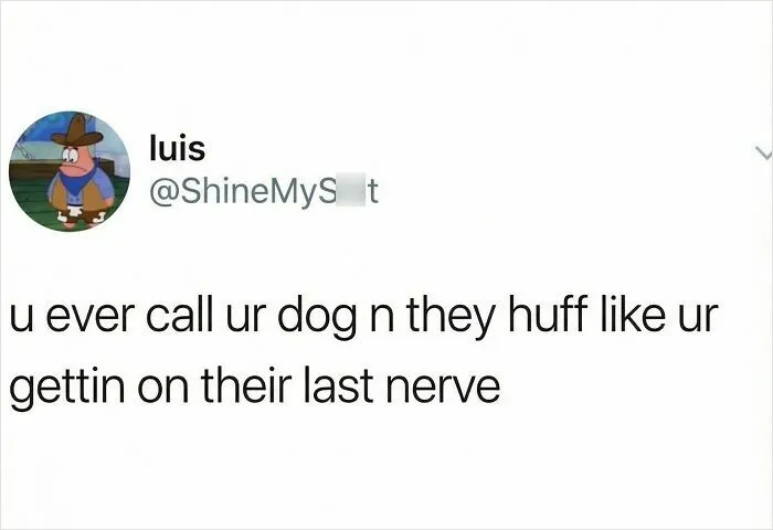 51 Funny Memes From This Account That’s Dedicated To Making People Laugh