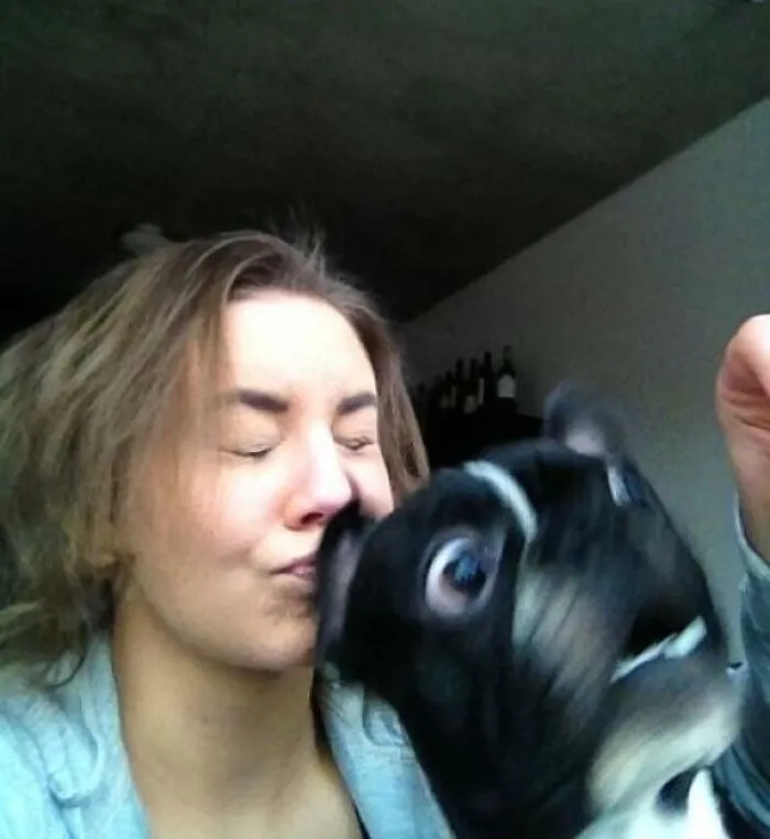 Mi novia intentó tomarse una foto con su cachorro cuando un pájaro se estrelló contra la ventana.
