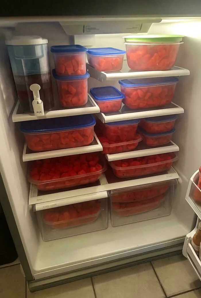 Why Does My Friend Need This Much Watermelon?