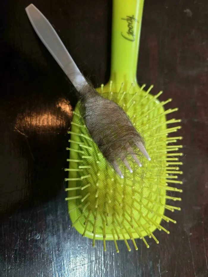 Mi hija de 13 años inventó una forma de limpiar los cepillos de pelo.