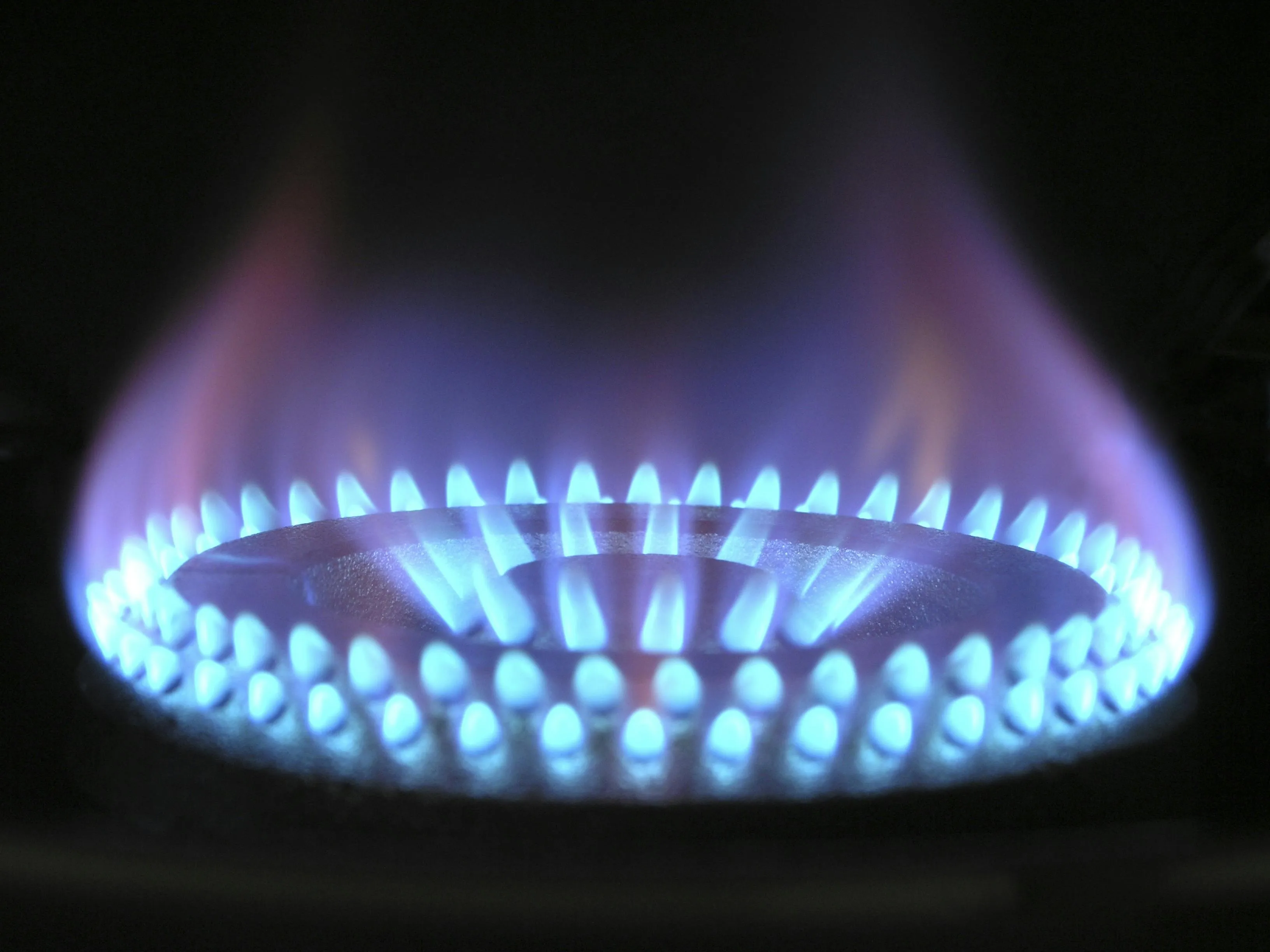 Blue gas flames burning on a circular stove burner illustrating pressure and volume relationship in gas laws.