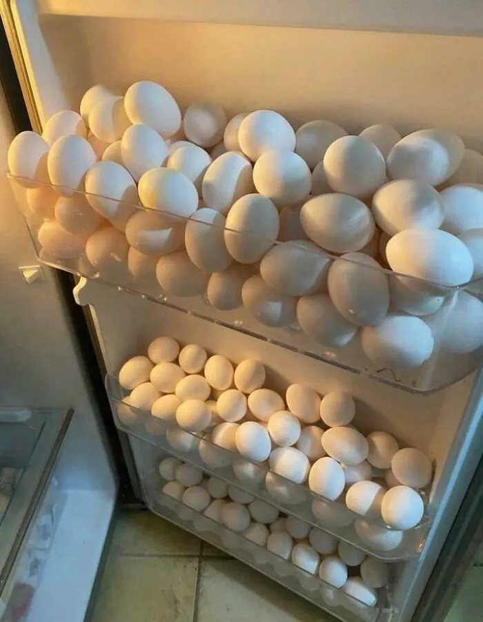 What Does This Fridge Say About Its Owner ?