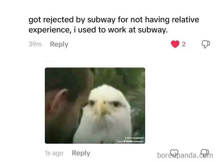 Found This Comment On A TikTok Post