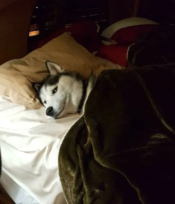 Sorry, Did I Take Your Spot?