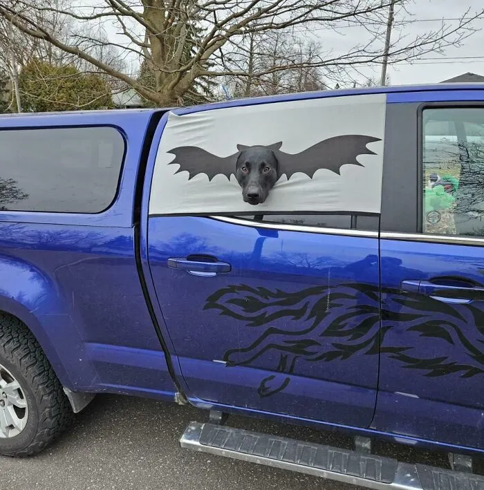 I'm Batman