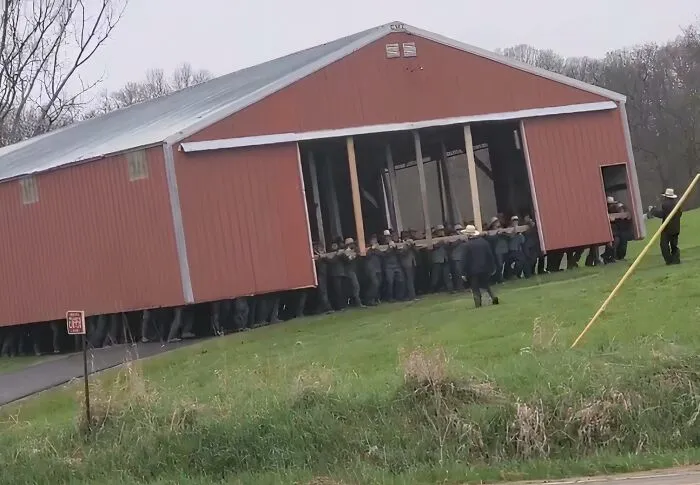 Un montón de amish trasladando un granero