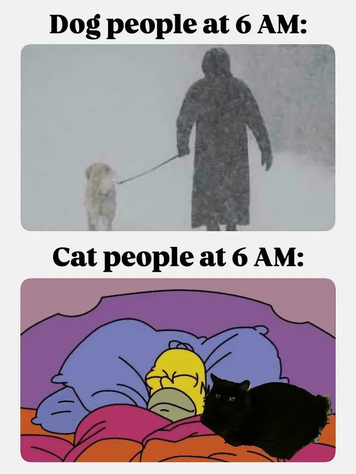 55 Hilarious Memes You’ll Probably Find Amusing And Totally Relatable