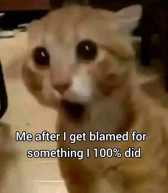 55 Hilarious Memes You’ll Probably Find Amusing And Totally Relatable