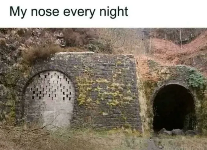 55 Hilarious Memes You’ll Probably Find Amusing And Totally Relatable