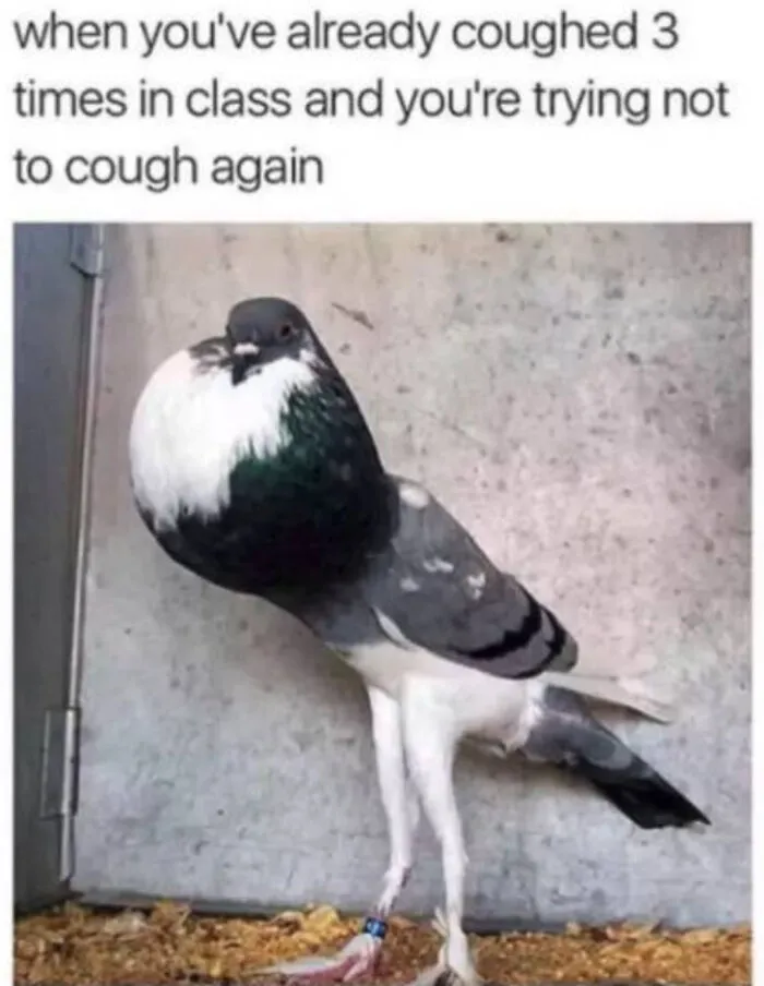 55 Hilarious Memes You’ll Probably Find Amusing And Totally Relatable