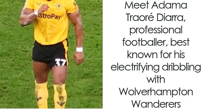 Adama Traoré: Bio And Career Highlights