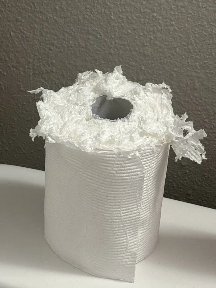 Toilet paper roll with shredded top showing a quirky example of if it's stupid but it works then it's not stupid.