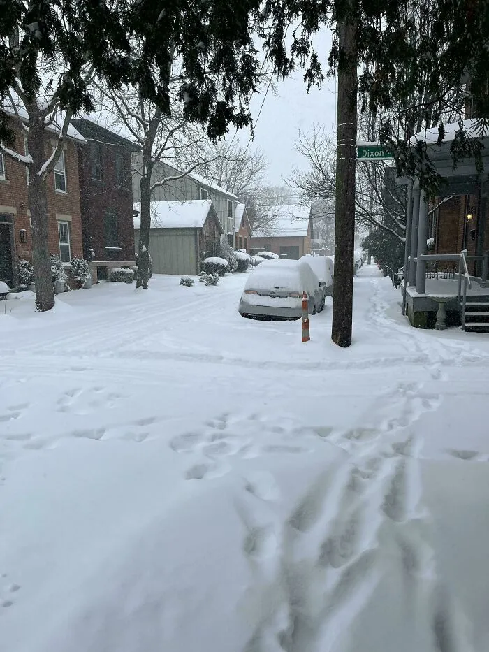 Snowstorm hitting a U.S. neighborhood with cars and streets covered in fresh snow during winter.