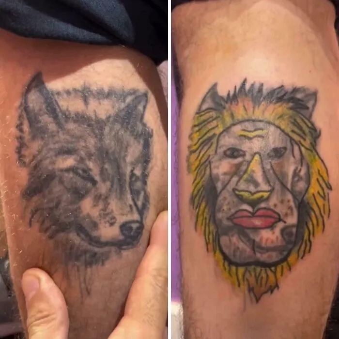Fui con un lobo triste y salí con un león imponente