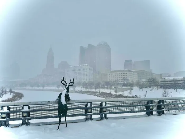 Snowstorm hitting U.S. city with heavy snow accumulation and a deer sculpture covered in snow on a bridge.