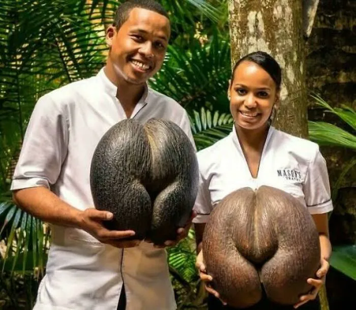 Eso es una semilla