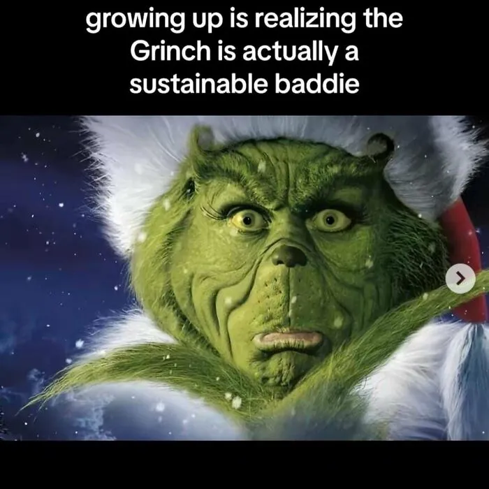 The Grinch wearing a Santa hat with text about growing up realizing he is a sustainable baddie on consumerism impact.