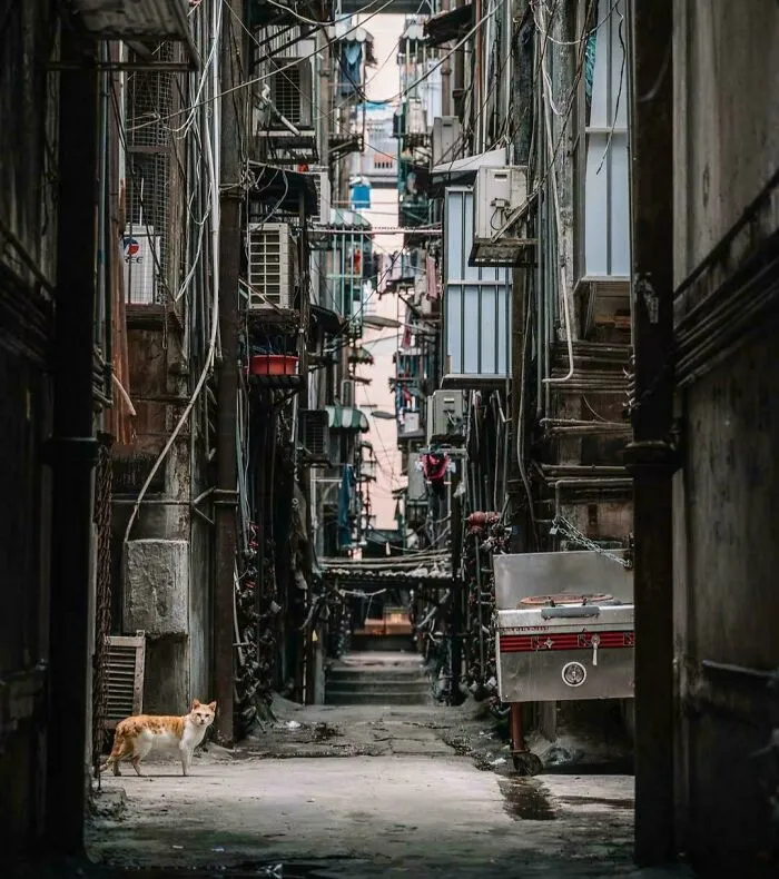 Narrow urban alleyway filled with wires and air conditioners, illustrating dystopian urban hell and modern life chaos.
