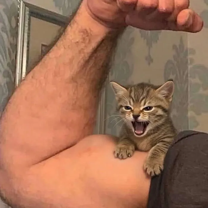 Battle Cry