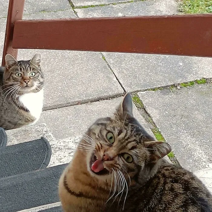 I Was Late With Breakfast And She Brought A Friend Over. Obviously, Very Much My Fault