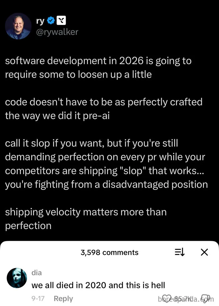 Perfectionisoptionalapparently