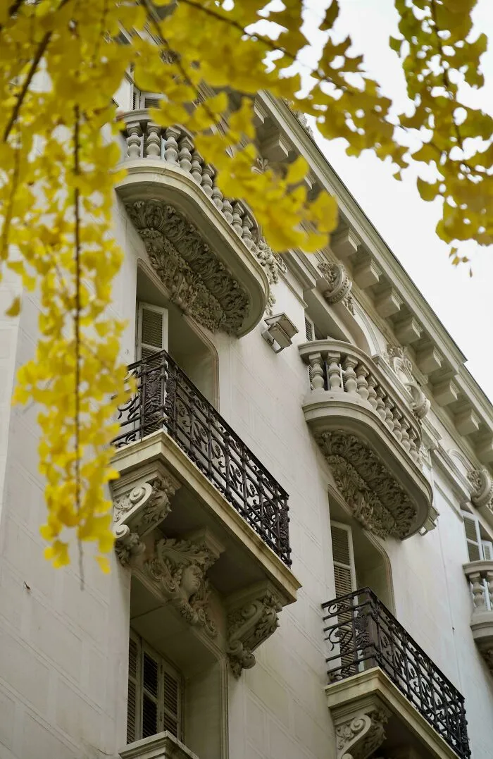 Elegant Parisian architecture with ornate balconies and classical detailing, framed by vibrant yellow autumn leaves.