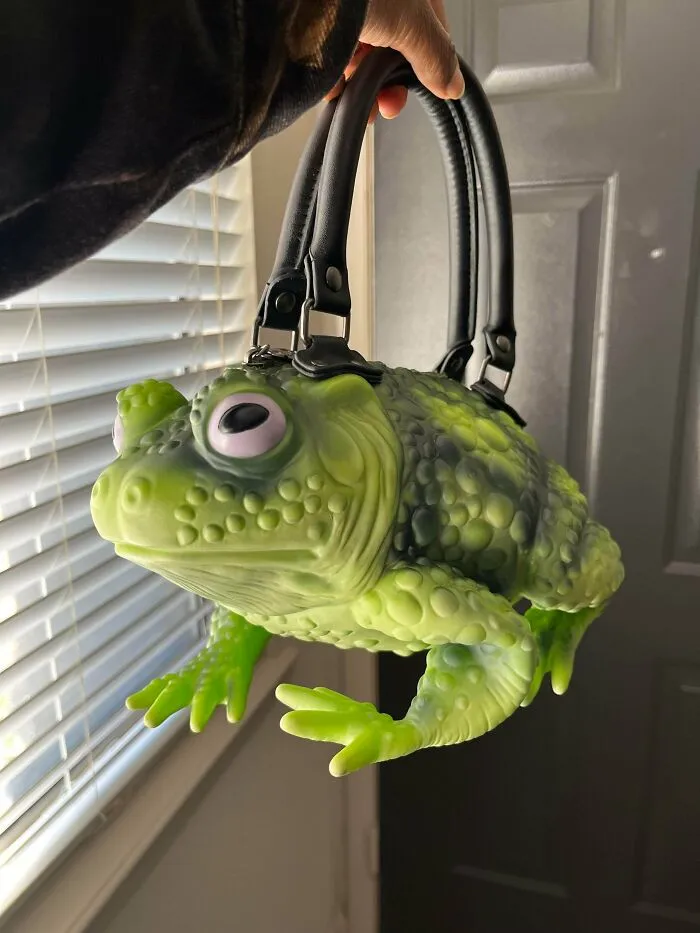 Mi bolso nuevo