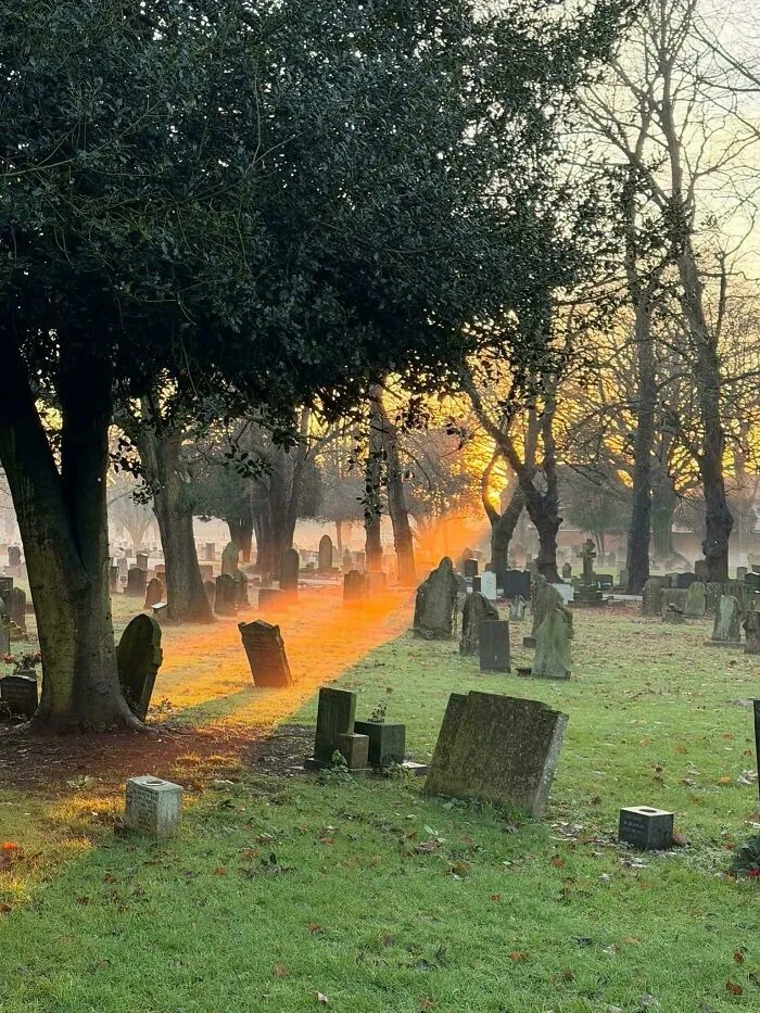Taken This Morning In Newark Graveyard